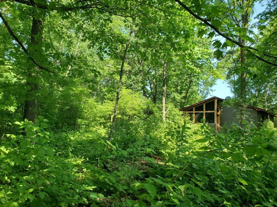 Wilderness Meadows Villa Pine City Kültér fotó